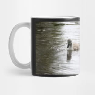 There Once Was An Ugly Duckling Mug